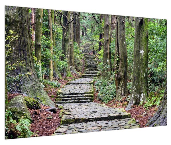 Obraz kamenných schodov v lese (90x60 cm)