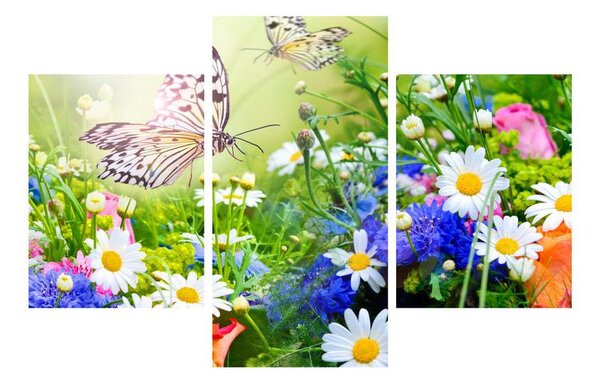 Obraz letných kvetov s motýľom (90x60 cm)