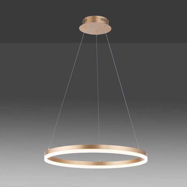 Paul Neuhaus LED závesné svietidlo Titus, Ø 60 cm, mosadz, stmievateľné, Mosadz / zlato, Obývacia izba / jedáleň, Hliník, Moderný