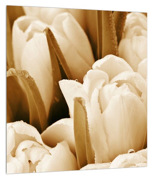 Obraz tulipánov (30x30 cm)