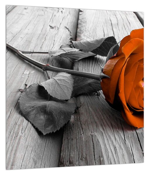 Obraz oranžovej ruže (30x30 cm)