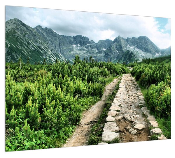 Obraz horskej krajiny (70x50 cm)