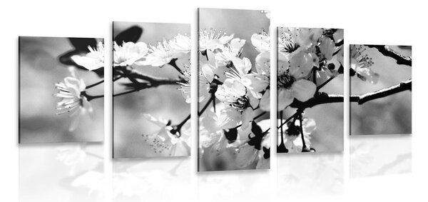 5-dielny obraz čerešňový kvet v čiernobielom prevedení