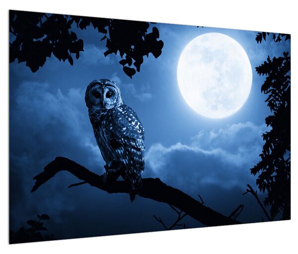 Obraz nočnej sovy (90x60 cm)