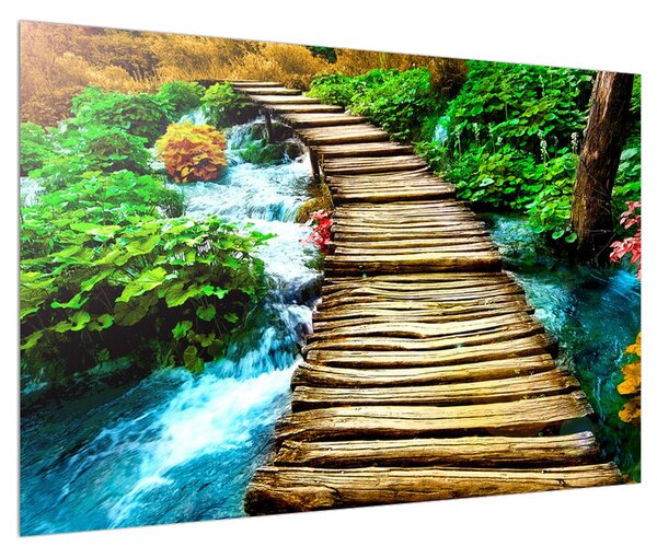 Obraz dreveného chodníka cez rieku (90x60 cm)