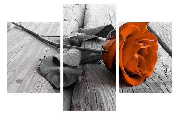 Obraz oranžovej ruže (90x60 cm)