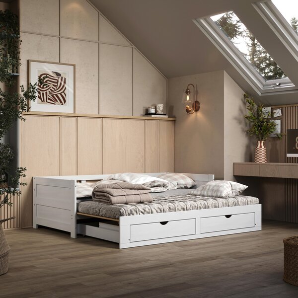 POSTEĽ S VÝSUVNÝM LÔŽKOM 200/100 cm, P & B - Detské izby, Online Only