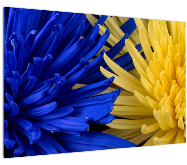 Obraz - detail kvetov (90x60 cm)