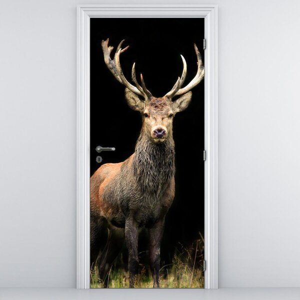 Fototapeta na dvere - krásny jeleň (95x205cm)