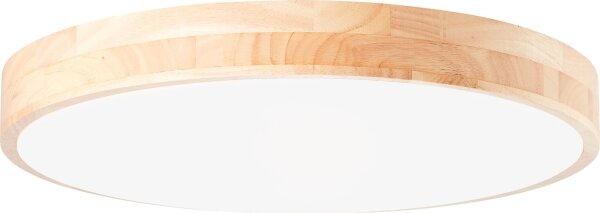 Brilliant - LED stmievané stropné svietidlo SLIMLINE LED/60W/230V + diaľkové ovládanie