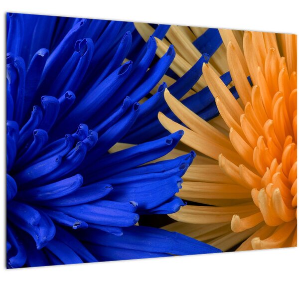 Detailný obraz kvetov (70x50 cm)