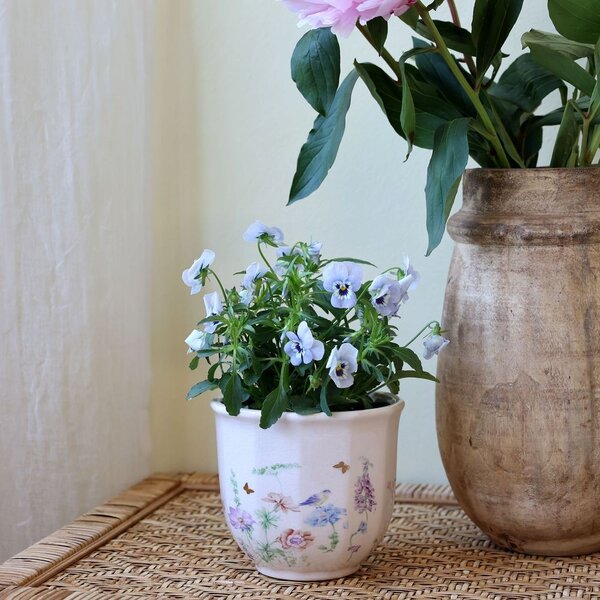Krémový antik keramický kvetináč s kvetmi Papillon Blossom - Ø 12*10 cm - Chic Antique