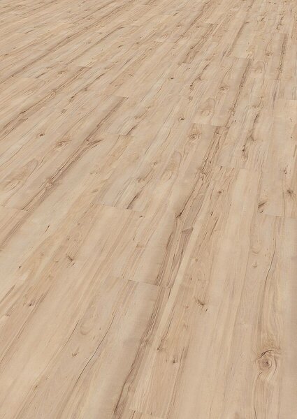 EUROWOOD Vinyl Bříza montreal 46036/0005 - 1.52 m2