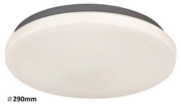 Rabalux LED stropné svietidlo Rob 1x20W | 1400lm | 4000K - priemer 29cm