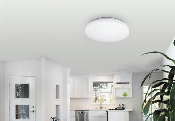 Rabalux LED stropné svietidlo Rob 1x20W | 1400lm | 4000K - priemer 29cm