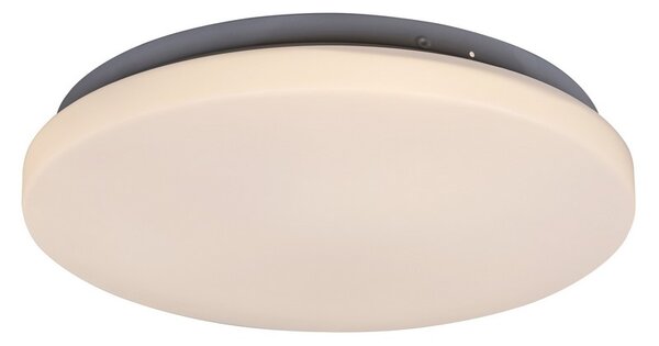 Rabalux LED stropné svietidlo Rob 1x20W | 1400lm | 3000K - priemer 29cm