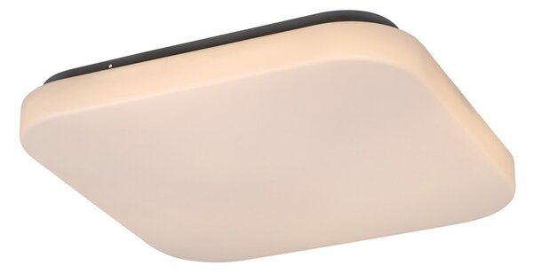Rabalux LED stropné svietidlo Rob 1x20W | 1400lm | 3000K