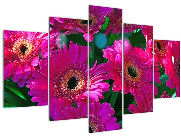 Obraz - kvety (150x105 cm)