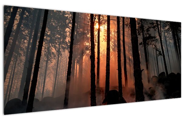 Obraz temného lesa (120x50 cm)