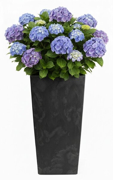 PLASTOVÝ KVETINÁČ PORTO 75X39,5X39,5 CM IMITÁCIA BETÓNU ČIERNA