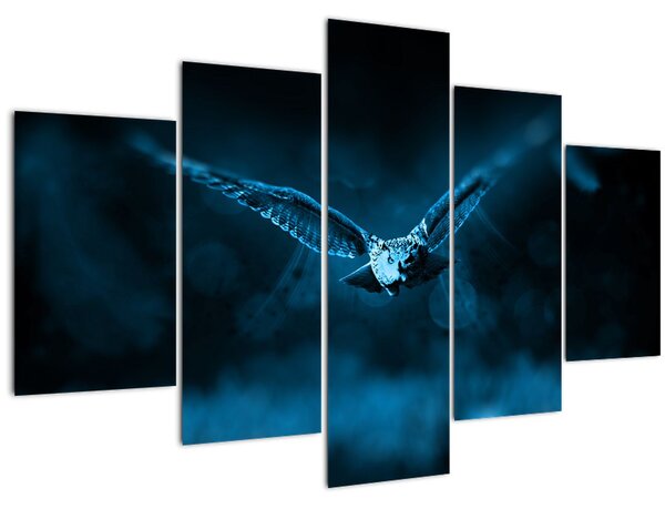 Obraz letiacej sovy (150x105 cm)