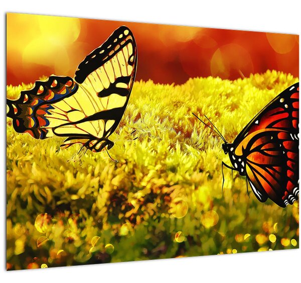 Obraz motýľov (70x50 cm)