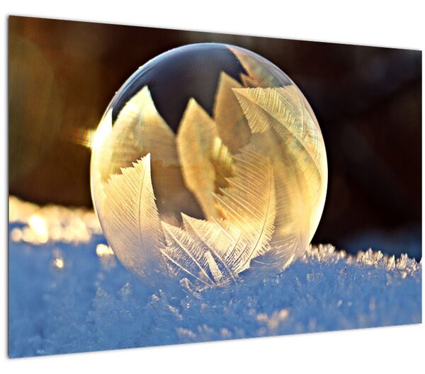 Obraz zamrznutej bubliny (90x60 cm)