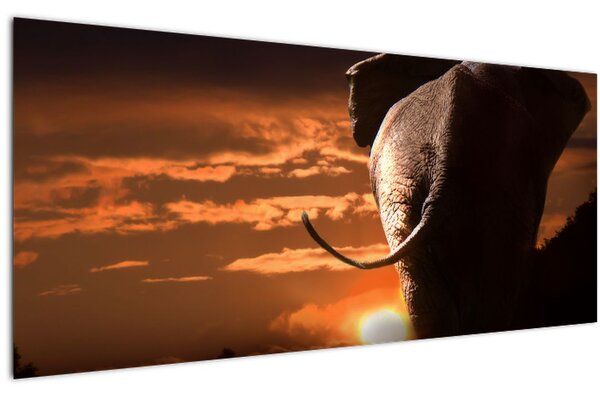 Obraz slona (120x50 cm)