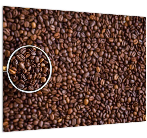 Obraz - kávové zrná (70x50 cm)