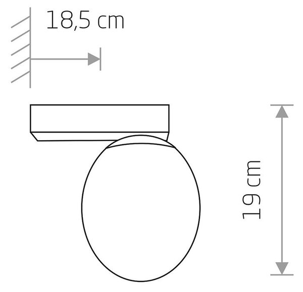 Kúpeľňové nástenné svietidlo Nowodvorski ICE EGG C 8132