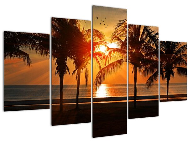 Obraz palmy v západe slnka (150x105 cm)