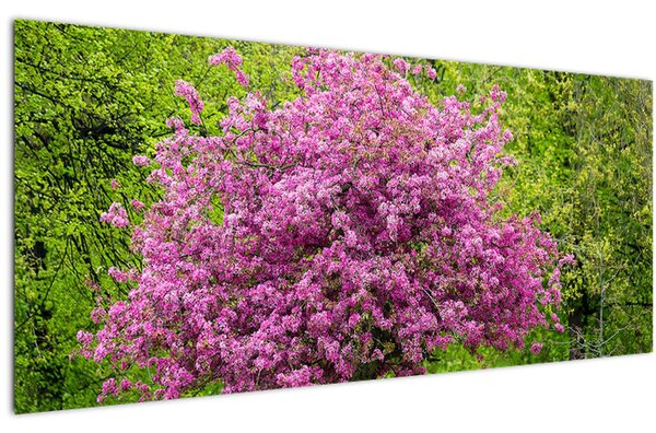 Obraz rozkvitnutého stromu na lúke (120x50 cm)