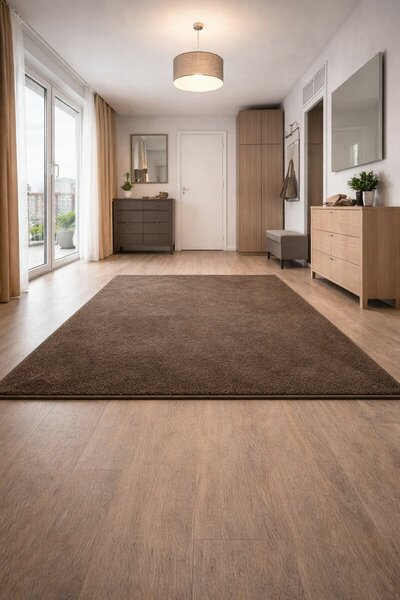 Vopi , Kusový koberec Eton hnedý 97, 50x80, hnedá, chodba / predsieň