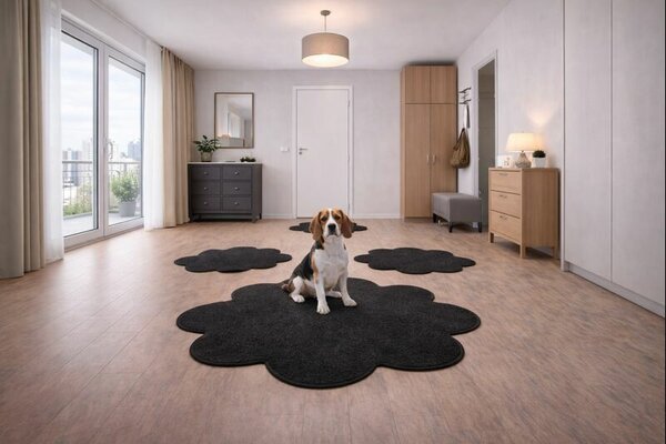 Vopi , Kusový koberec Eton čierny kvetina, 120x120 kvietok, čierna, obývacia izba