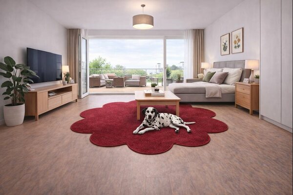 Vopi , Kusový koberec Eton vínovo červený kvetina, 120x120 kvietok, červená, obývacia izba