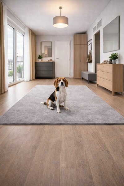 Vopi , Kusový koberec Eton šedý 73, 50x80, šedá, chodba / predsieň