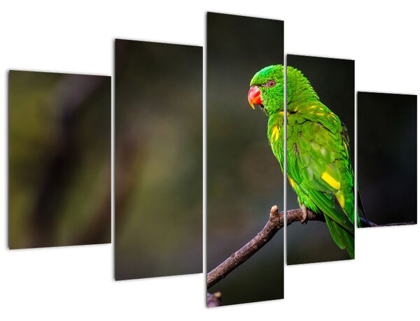 Obraz papagája na vetve (150x105 cm)
