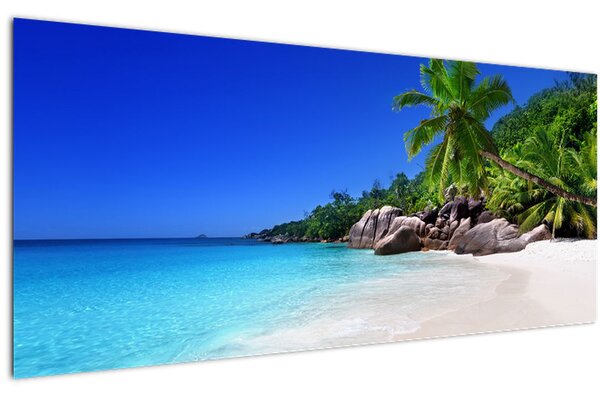 Obraz pláže na Praslin ostrove (120x50 cm)
