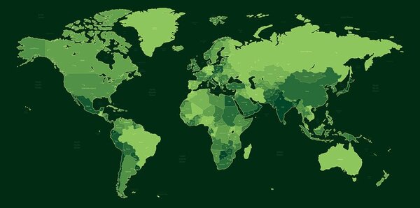 Obraz na korku detailná mapa sveta v zelenej farbe