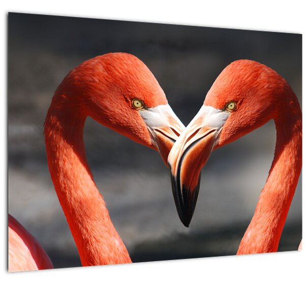 Obraz dvoch zamilovaných plameniakov (70x50 cm)