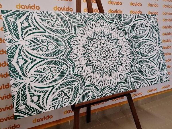 Obraz Mandala harmónie na zelenom pozadí