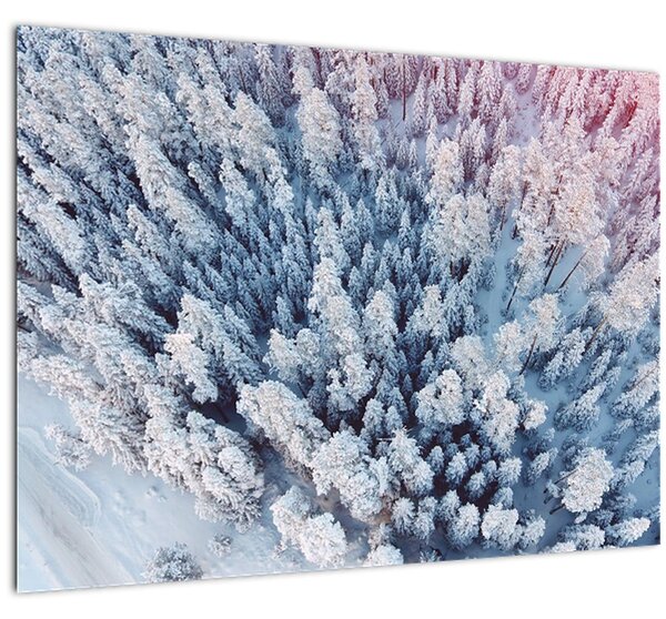 Obraz zasnežených stromov (70x50 cm)