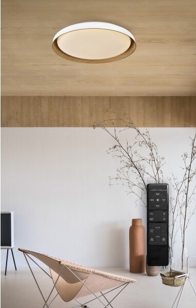 Top Light-LED Stm. stropné svietidlo SATELLITE LED/36W/230V 3000-6500K biela + DO