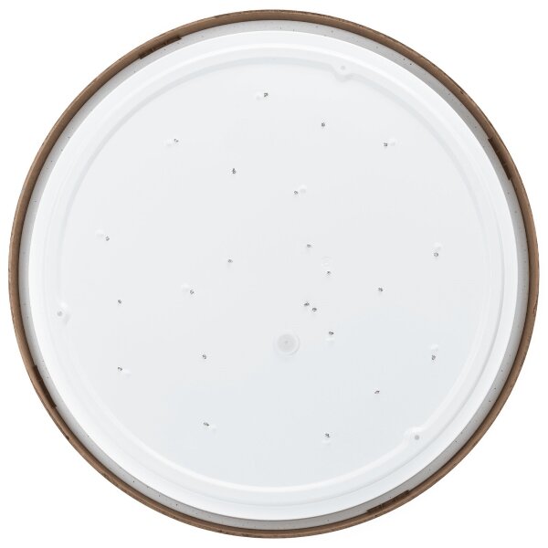 Aigostar - LED Stropné svietidlo LED/36W/230V 6500K pr. 48,1 cm