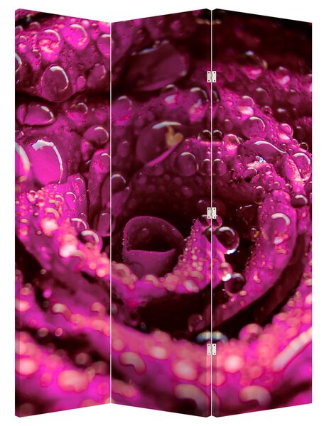 Paraván - Ružový kvet ruže (126x170 cm)