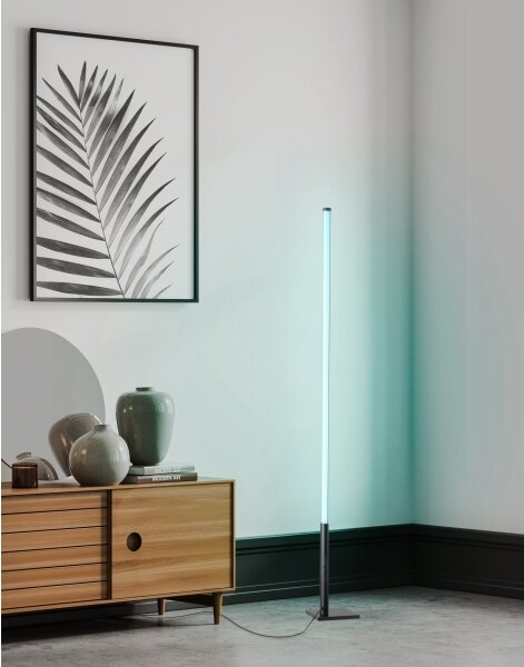 Eglo 75654 - LED RGB Stmievateľná stojacia lampa LED/13,5W/230V 2700-6500K + DO