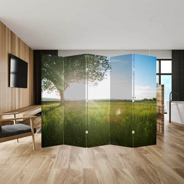 Paraván - Letná lúka (210x170 cm)