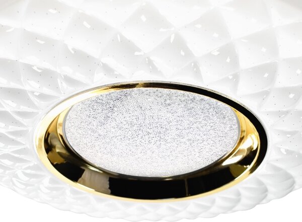 LED Stmievateľné stropné svietidlo TOKYO LED/48W/230V 3000-6000K + DO