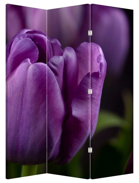 Paraván - Kvet tulipánov (126x170 cm)