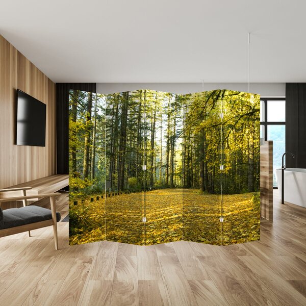 Paraván - Les na jeseň (210x170 cm)